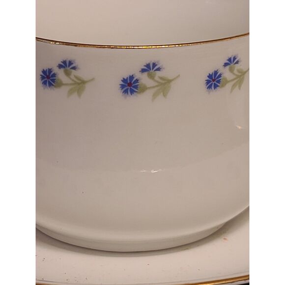 Antique J&C Bavaria Blue Floral Gold Gilt Rim‎ Cup and Saucer 1898-1923 - Picture 3 of 9